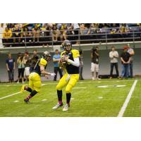 Predators Add Rookie QB Chase Cartwright