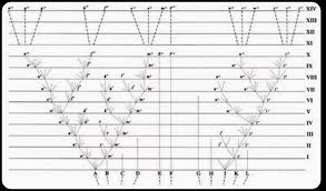 The population of mice in drawing 3 is different from the population in drawing 1 because in drawing 3 there are 1 white mouse. 5 15 Theory Of Evolution By Natural Selection Biology Libretexts