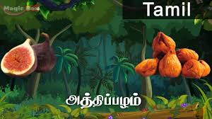 Fig Fruits In Tamil Pre School Animated Educational Videos For Kids Youtube
