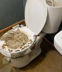 Should Flushed Wet Wipes Cause A Pipe To Leak Terry Love Plumbing Advice Remodel Diy Professional Forum