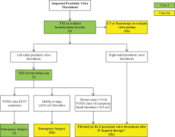 2014 Aha Acc Guideline For The Management Of Patients With