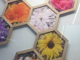 Fundraiser for Alyssa Salas by Carol Watson : Milk and Honey Cafe