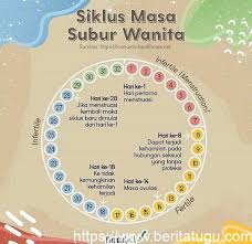 Padahal, masa subur tiap wanita itu berbeda lho tergantung keteraturan siklus menstruasinya. Siklus Masa Subur Wanita Berita Tugu Pusat Berita Terupdate Dari Kotamu
