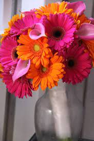 Bouquet Daisy Bouquet Wedding Daisy Bouquet Gerber Daisy Bouquet