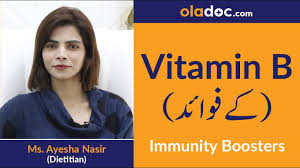 Which is the best vitamin b6 for vegetarians? Vitamin B12 B1 B2 Benefits In Urdu Hindi Covid 19 Immunity Boosting Foods Vitamin B Ke Fayde Youtube