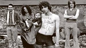 The rise and fall of iconic Cork band Sultans of Ping