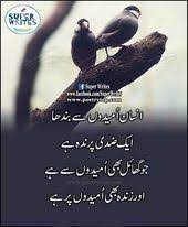 Pin On Urdu