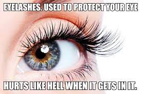 Scumbag Eyelashes Meme By 19dantrumpet97 Memedroid