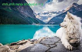 Aug 07, 2021 · tafsiran mimpi abjad m erek erek 3d; Erek Erek 3d Mimpi Hewan Abjad A Z Lengkap
