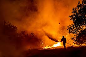 Claire wanja july 16, 2021 july 16, 2021. Cyprus Worst Forest Fire In Decades Is Under Full Control Says The Agriculture Ministry The Second Angle