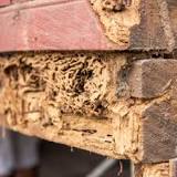 Image result for what is a full barrier treatment