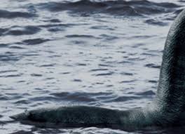 Monstrul din loch ness este unul din cele mai cunoscute animale studiate de criptozoologie. Galerie Foto A Fotografiat Monstrul Din Loch Ness IatÄ Dovada Newsar Ro
