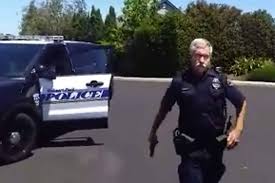The cost of a building inspection can vary depending on factors such as the size of the building, its location and the type of inspection required. Video Captures Rohnert Park Police Officer Pulling Gun