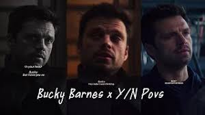 Bucky Barnes x Y/n Povs