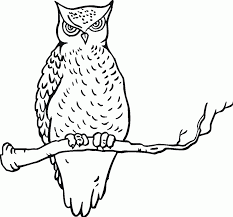Download now sketsa gambar burung hantu merak garuda elang gambarcoloring. Halaman Pewarna Burung Cetak Percuma Untuk Kanak Kanak Haiwan Jun 2021