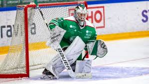 The head and wings of an eagle; Prospects Archives Page 34 Of 256 The Hockey Writers