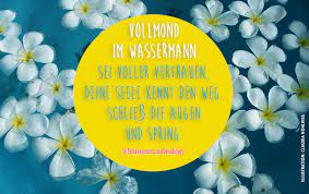 Check spelling or type a new query. Vollmond Im Wassermann Am 03 08 2020 Blumoon Astrologie