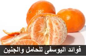 فوائد اليوسفى افندي للحامل ما هي فوائد واضرار اليوسفي للحامل الاستفندى