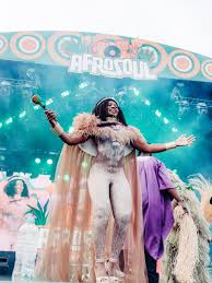 Image result for Afrosolen