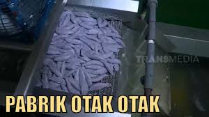 Pemilih dan pengguna hak pilih. Kepoin Pabrik Pembuatan Otak Otak Rainbow Sukabumi Si Unyil 28 08 20 Youtube