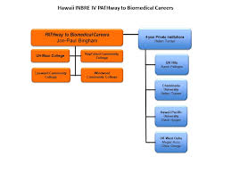 pathway to biomedical careers inbre iv