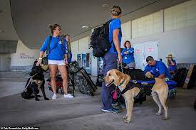 Hurricane Dorian Aftermath K9 Search Teams Arrive In The Bahamas To Recover Bodies Daily Mail Online