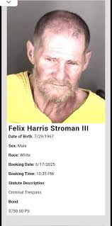 Daily bookings for 06/17/2025.