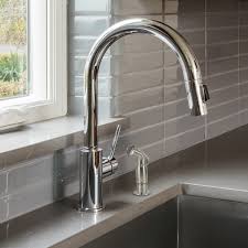 kitchen sink side spray in brushed