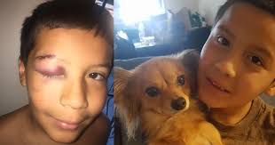 Fifth Grade Refuses To Fight Bullies: 'It's Not The Jedi Way'