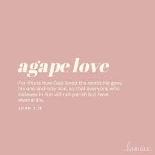 God loves you with agape love. An unconditional, do what's in the other's  best interest type of love. Wow! God's perfect love chose to give Jesus's  life for you! God did this