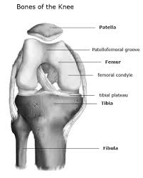 Patella Problems Kneecap Injuries Malalignment Chondromalacia Pain