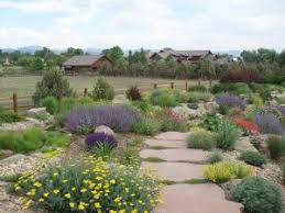 Xeriscaping often borrows inspiration from zen gardens, modernism, and american southwest landscaping. Why You Should Care About Xeriscaping Greenscape Geeks