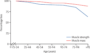 Sarcopenia is associated with frailty, mortality, problems with performing daily living tasks and falls. Sarcopenia The Lancet