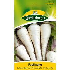 Sie besitzt eine rübenförmige hauptwurzel von. Quedlinburger Pastinake Sutten Student