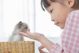 Local pet stores near me. Pet Store Pet Supplies Delivery Petpeople