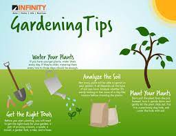Apply organic amendments to the soil at planting time. Gardening For Beginners Infinity Insurance