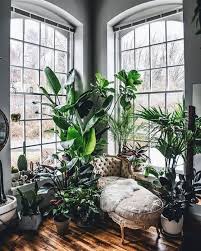 Find Out 15 Incredible Indoor Plants Decor Ideas Simdreamhomes Indoorplantsdecorideas Indoorplantsd Plant Decor Indoor Room With Plants House Plants Decor