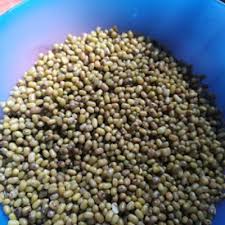 Umat islam adalah umat yang dominan di indonesia, sehingga untuk acara keagamaan itu sendiri pastinya akan rame sekali, contohnya saja. Resepi Bubur Asyura Versi Utara Yang Sangat Sedap Dan Mudah