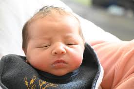 CARNET ROSE : Iris Secundino