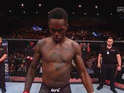 Log in to save gifs you like, get a customized gif feed, or follow interesting gif creators. Cheap Seat Predictions Ufc 243 Adesanya Vs Whittaker Cheapseatfans