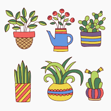 As you can see i really like simple line drawings with just a few colors. How To Draw Succulents With Easy Step By Step Tutorials