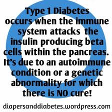 Egg muffins are so fast! Diabetes Connections Home Facebook