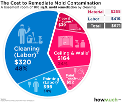 Remove mold in the basement as soon as possible to prevent its further growth. How Much Does It Cost To Remediate Mold Contamination