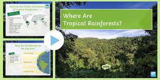 Rainforests can be tropical, subtropical, and temperate forests. Where Are Tropical Rainforests Powerpoint Teacher Made