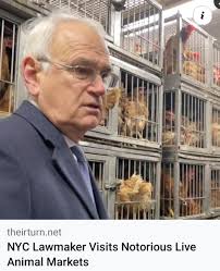 Birds have fundamental rights, can't be kept in cages: Delhi High Court