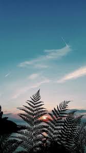 Aesthetic Nature Tumblr Wallpapers Top Free Aesthetic Nature Tumblr Backgrounds Wallpaperaccess