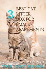 The 3 Best Cat Litter Box For Small Apartment The Cat Mama Best Cat Litter Mama Cat Cats