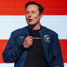 CEO Elon Musk makes bizarre unverified claim about Tesla protestors amid historic drop in profits