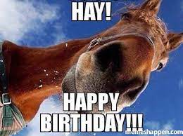 15 Hilarious Happy Birthday Horse Meme Photos Happy Birthday Horse Funny Happy Birthday Meme Happy Birthday Funny
