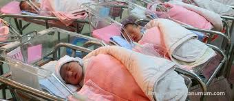 Angka kelahiran hanya 11 jiwa per 1.000 warga dan angka kematian pun sama yakni 11 kematian tiap 1.000 penduduk. 10 Negara Dengan Angka Kelahiran Terendah Di Dunia Ilmu Pengetahuan Umum